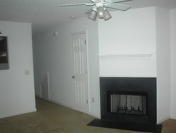 Gallery Photo 3
